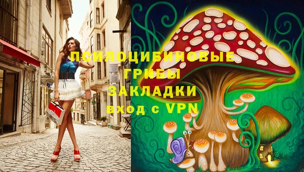 дживик Каменск-Шахтинский