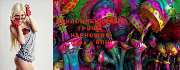 jwh Каменка